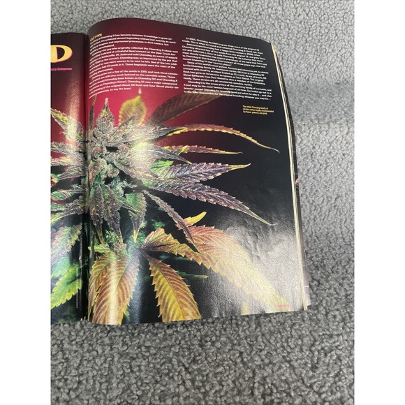 HIGH TIMES MAGAZINE COLLECTIBLE NOVEMBER 2008 - Picture 10 of 16